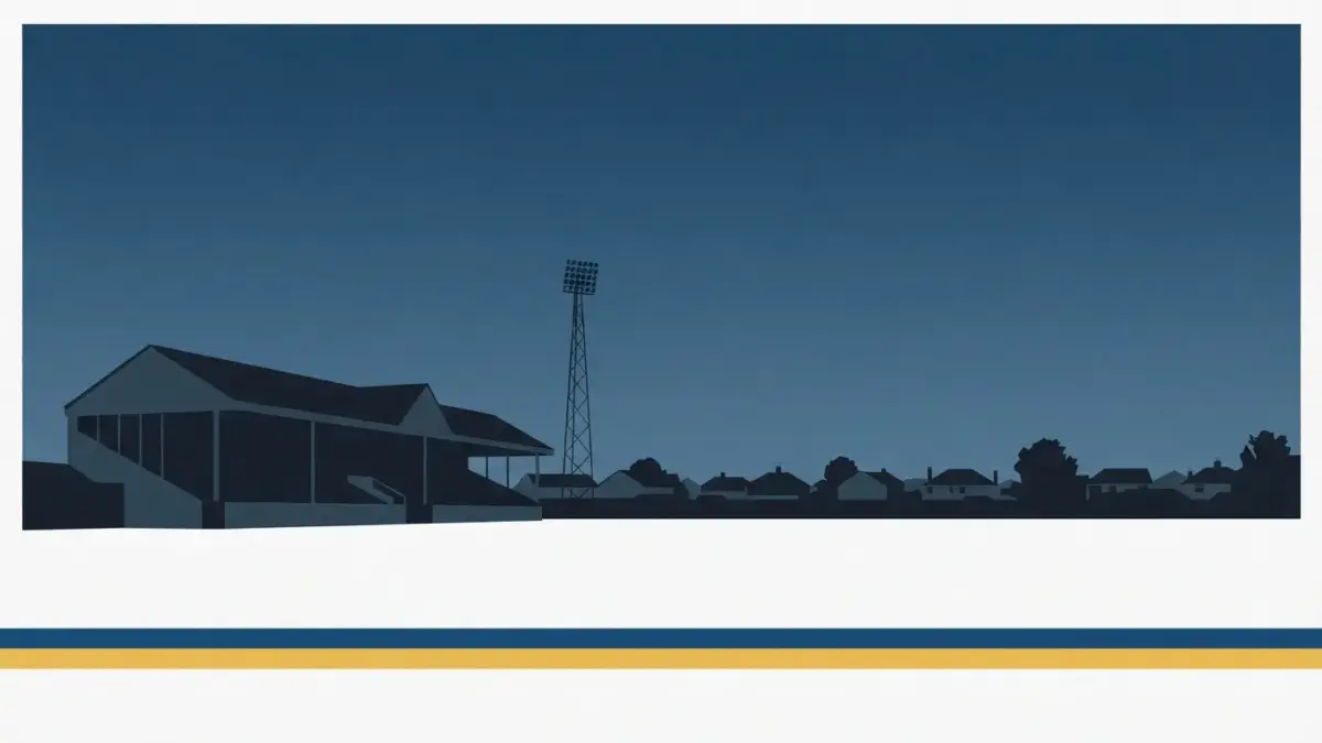 Illustrierte Holztribuene mit Flutlichtmast vor Vorstadthorizont, Bruno-Plache-Stadion in Leipzig