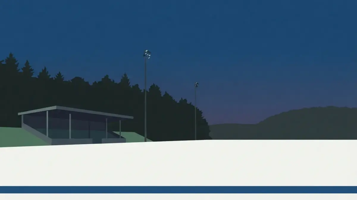Illustrierte Tribüne mit Flutlichtmasten am Waldrand, Waldstadion Homburg
